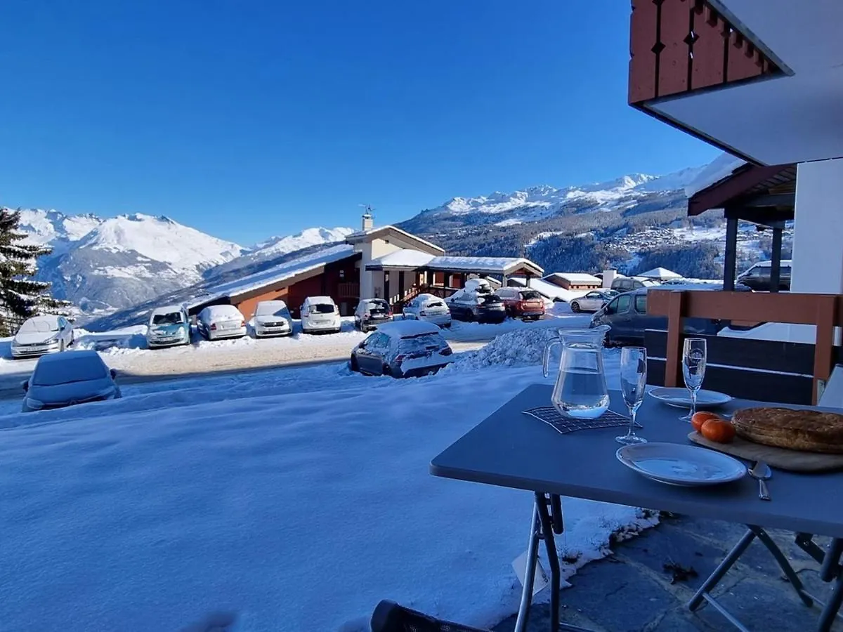 Διαμέρισμα Studio Pratique Proche Pistes Avec Terrasse Et Animaux Admis - Fr-1-181-2227 La Plagne-Tarentaise