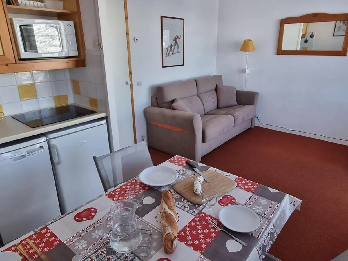 Studio Pratique Proche Pistes Avec Terrasse Et Animaux Admis - Fr-1-181-2227 La Plagne-Tarentaise